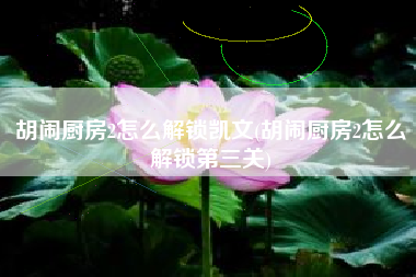胡闹厨房2怎么解锁凯文(胡闹厨房2怎么解锁第三关)
