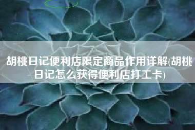 胡桃日记便利店限定商品作用详解(胡桃日记怎么获得便利店打工卡)