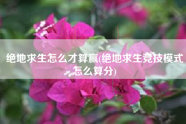 绝地求生怎么才算赢(绝地求生竞技模式怎么算分)