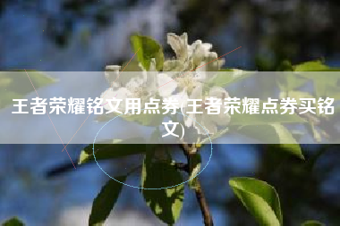 王者荣耀铭文用点券(王者荣耀点券买铭文)