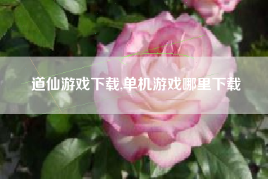 道仙游戏下载,单机游戏哪里下载