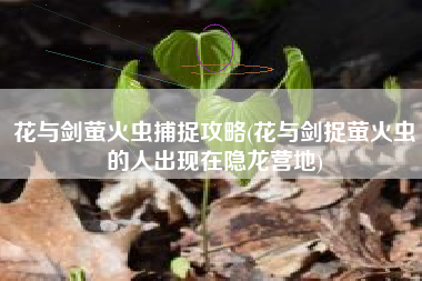 花与剑萤火虫捕捉攻略(花与剑捉萤火虫的人出现在隐龙营地)