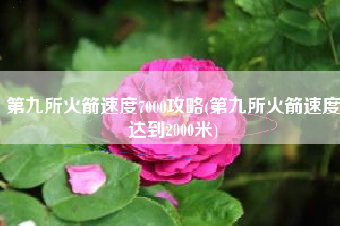 第九所火箭速度7000攻略(第九所火箭速度达到2000米)
