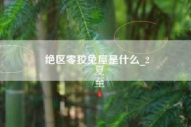 绝区零狡兔屋是什么_2