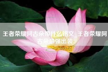 王者荣耀阿古朵带什么铭文_王者荣耀阿古朵最强出装