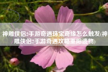 神雕侠侣2手游奇遇珠宝奇缘怎么触发(神雕侠侣2手游奇遇攻略重阳遗物)