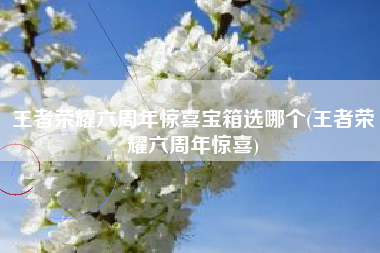 王者荣耀六周年惊喜宝箱选哪个(王者荣耀六周年惊喜)