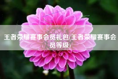 王者荣耀赛事会员礼包(王者荣耀赛事会员等级)