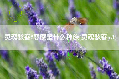 灵魂骇客2恶魔是什么种族(灵魂骇客ps1)