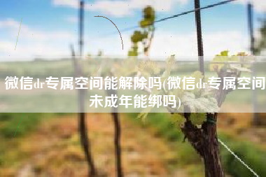 微信dr专属空间能解除吗(微信dr专属空间未成年能绑吗) 微信dr专属空间能解除吗(微信dr专属空间未成年能绑吗)