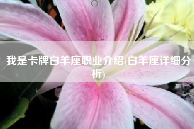 我是卡牌白羊座职业介绍(白羊座详细分析) 我是卡牌白羊座职业介绍(白羊座详细分析)