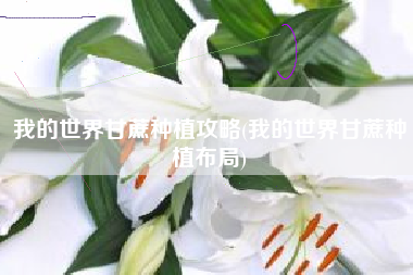 我的世界甘蔗种植攻略(我的世界甘蔗种植布局) 我的世界甘蔗种植攻略(我的世界甘蔗种植布局)
