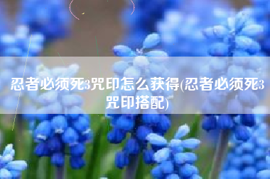 忍者必须死3咒印怎么获得(忍者必须死3咒印搭配) 忍者必须死3咒印怎么获得(忍者必须死3咒印搭配)
