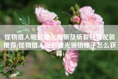 怪物猎人崛起曙光榴斩及斩裂轻弩配装推荐(怪物猎人崛起曙光领悟橡子怎么获得)