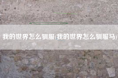 我的世界怎么驯服(我的世界怎么驯服马)