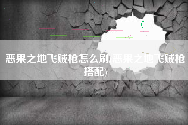 恶果之地飞贼枪怎么刷(恶果之地飞贼枪搭配)