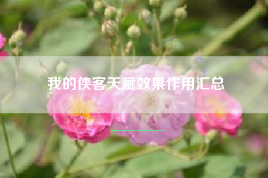 我的侠客天赋效果作用汇总
