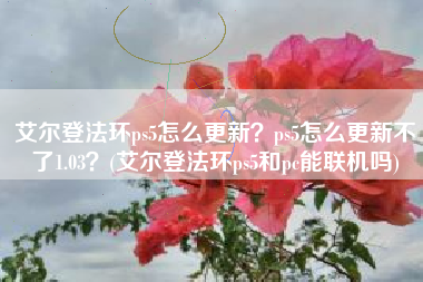 艾尔登法环ps5怎么更新？ps5怎么更新不了1.03？(艾尔登法环ps5和pc能联机吗)