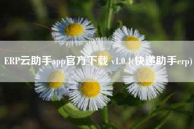 ERP云助手app官方下载 v1.0.4(快递助手erp)