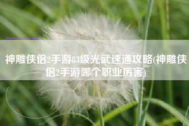 神雕侠侣2手游83级光武速通攻略(神雕侠侣2手游哪个职业厉害)