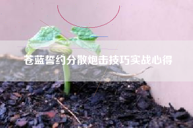 苍蓝誓约分散炮击技巧实战心得