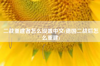 二战重建者怎么设置中文(德国二战后怎么重建)