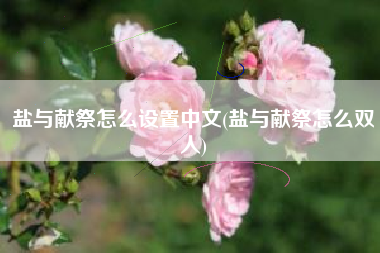 盐与献祭怎么设置中文(盐与献祭怎么双人)