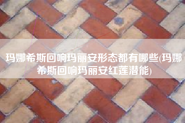 玛娜希斯回响玛丽安形态都有哪些(玛娜希斯回响玛丽安红莲潜能)