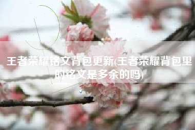 王者荣耀铭文背包更新(王者荣耀背包里的铭文是多余的吗)