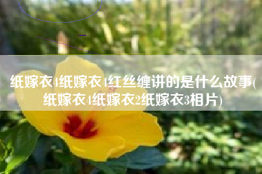 纸嫁衣4纸嫁衣4红丝缠讲的是什么故事(纸嫁衣4纸嫁衣2纸嫁衣3相片)