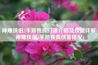 神雕侠侣2手游独孤门派介绍及技能详解(神雕侠侣2手游独孤侠客搭配)