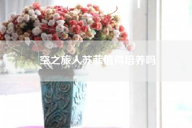 空之旅人苏菲值得培养吗
