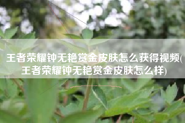 王者荣耀钟无艳赏金皮肤怎么获得视频(王者荣耀钟无艳赏金皮肤怎么样)