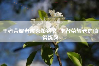 王者荣耀老虎玄策铭文_王者荣耀老虎值得练吗