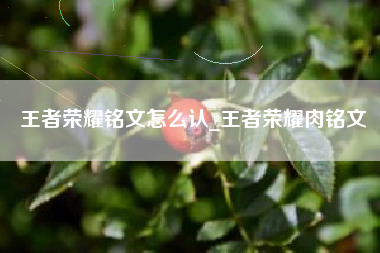 王者荣耀铭文怎么认_王者荣耀肉铭文