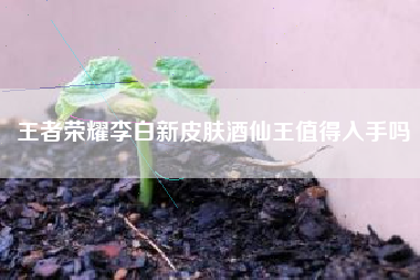 王者荣耀李白新皮肤酒仙王值得入手吗