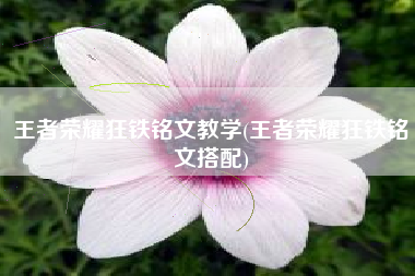 王者荣耀狂铁铭文教学(王者荣耀狂铁铭文搭配)