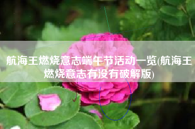 航海王燃烧意志端午节活动一览(航海王燃烧意志有没有破解版)