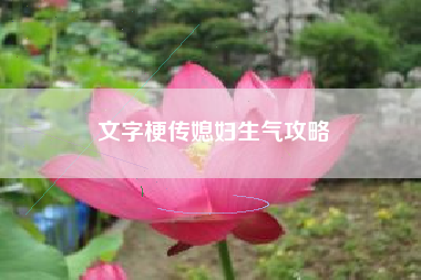 文字梗传媳妇生气攻略