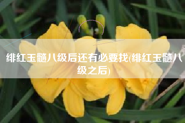绯红玉髓八级后还有必要找(绯红玉髓八级之后)