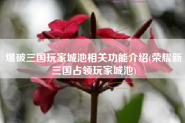 爆破三国玩家城池相关功能介绍(荣耀新三国占领玩家城池)