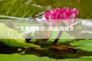 王者荣耀铠14级最强铭文