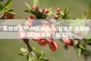 英雄联盟FPX战队成员2022有哪些(英雄联盟fpx战队是哪个国家的)