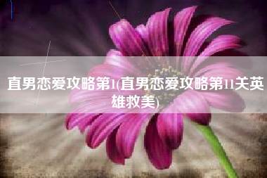直男恋爱攻略第1(直男恋爱攻略第11关英雄救美)