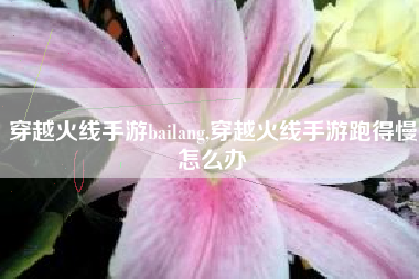 穿越火线手游bailang,穿越火线手游跑得慢怎么办