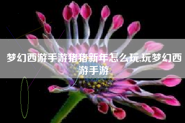 梦幻西游手游猪猪新年怎么玩,玩梦幻西游手游