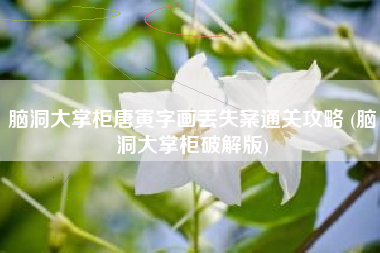 脑洞大掌柜唐寅字画丢失案通关攻略 (脑洞大掌柜破解版)