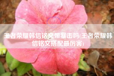 王者荣耀韩信铭文带暴击吗(王者荣耀韩信铭文搭配最厉害)