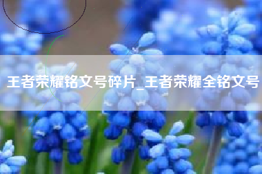 王者荣耀铭文号碎片_王者荣耀全铭文号