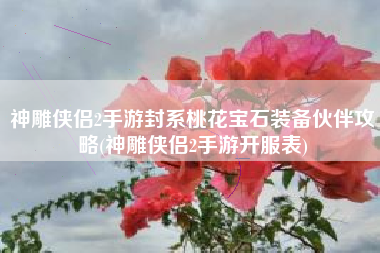 神雕侠侣2手游封系桃花宝石装备伙伴攻略(神雕侠侣2手游开服表)